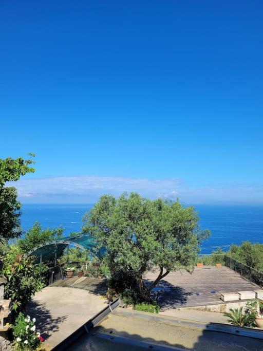 Villa Sun & Relax, Relaxing Location With Seaview à Massa Lubrense Extérieur photo